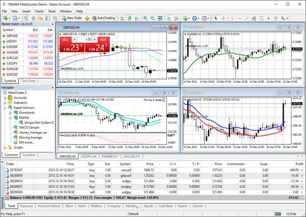 MetaTrader 4 Forex Trading Platform Screenshot