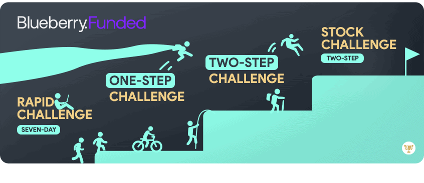 blueberry funded challenge types