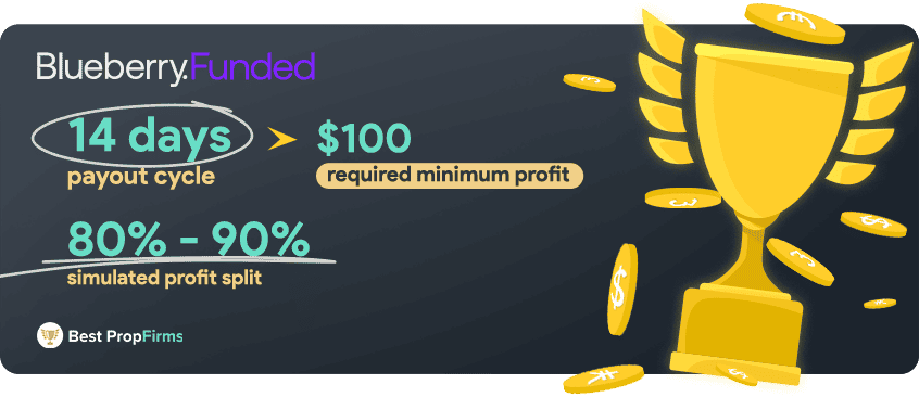 blueberry funded payments and profit payout