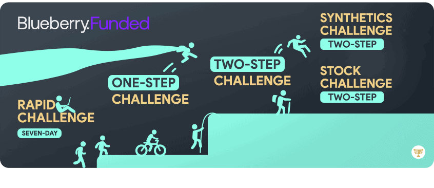 blueberry funded challenge types