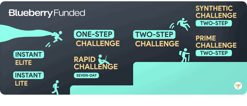 blueberry funded challenge types