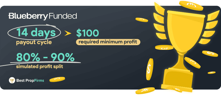 blueberry funded payments and profit payout