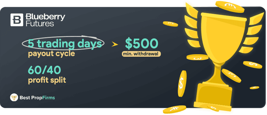 blueberry futures payments and profit payout