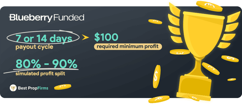blueberry funded payments and profit payout